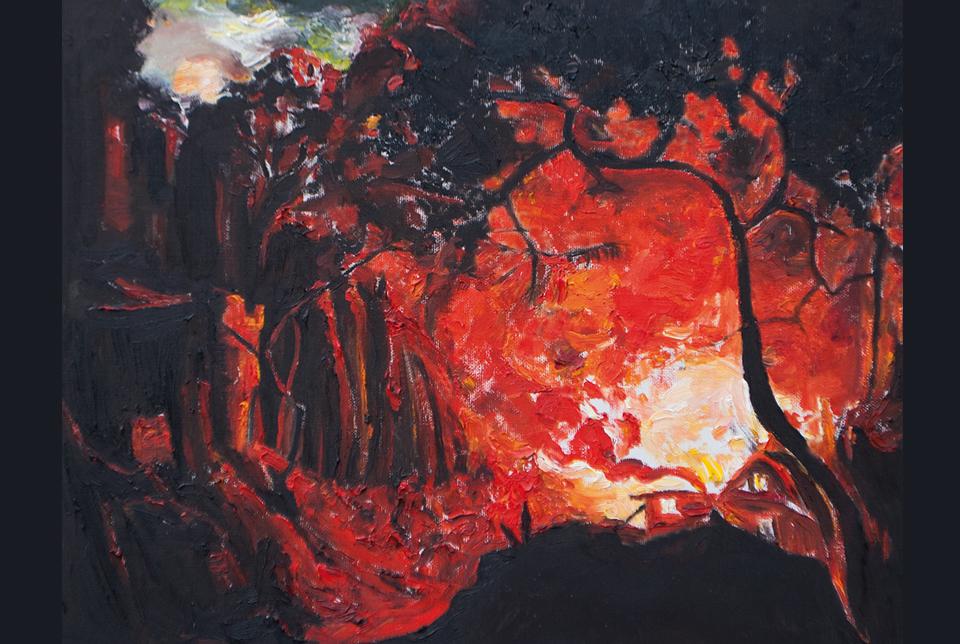 Feuer im Wald