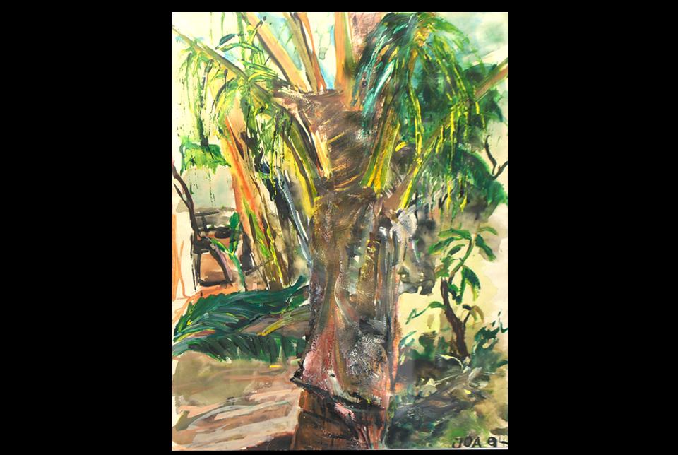 Palmas en el jardin